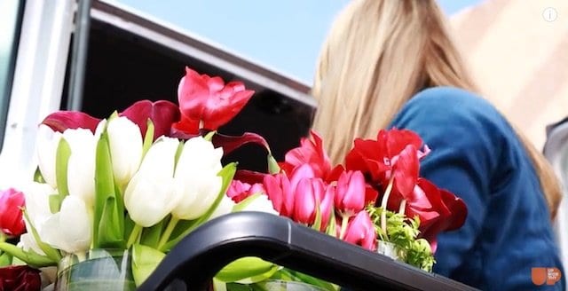 Repeat Roses - Recycled flowers bring joy to nursing homes